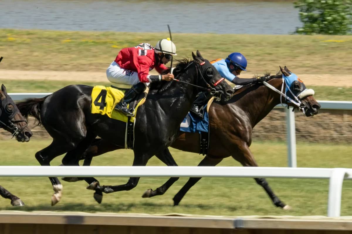 a horse race, symbolizing how competitors insights can be an advantage over the competition