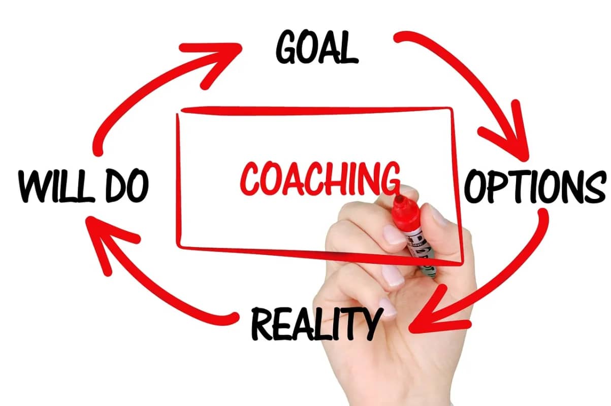 a cycle showing how executive coaching goes from goals to options to reality to will do and cycles back to goals